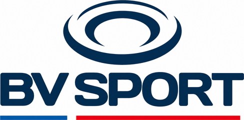 Logo BV Sport